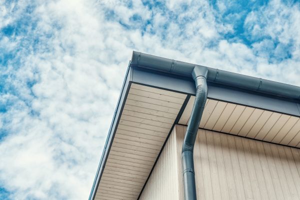 Gutter Fascia Repair in Breckenridge