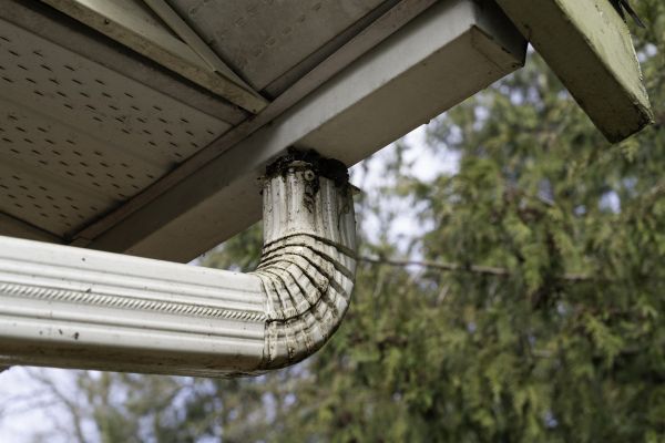 Cost of Roof Drain Replacement in Breckenridge
